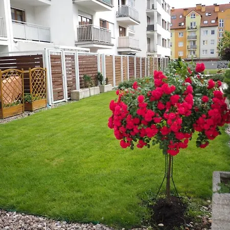 Platan Patio 2- Berry