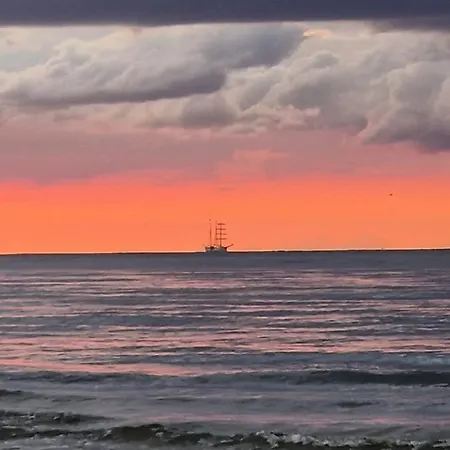 Apartamento Platan Patio 2- Berry