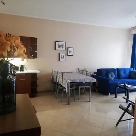 Platan Patio 2- Berry *