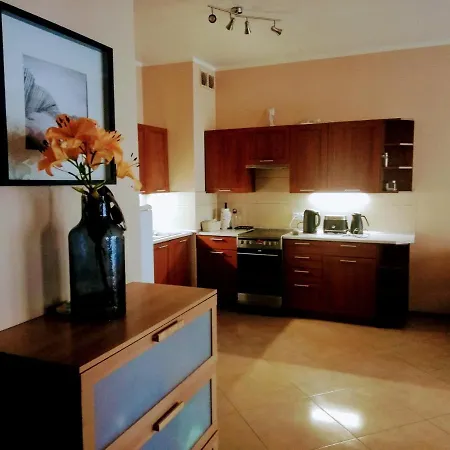 Platan Patio 2- Berry