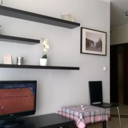 Platan Patio 2- Berry * Świnoujście