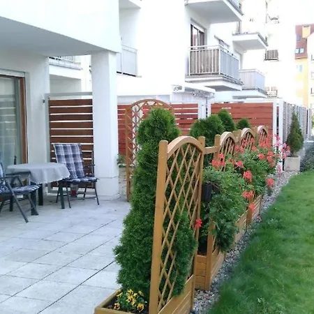 Platan Patio 2- Berry Świnoujście